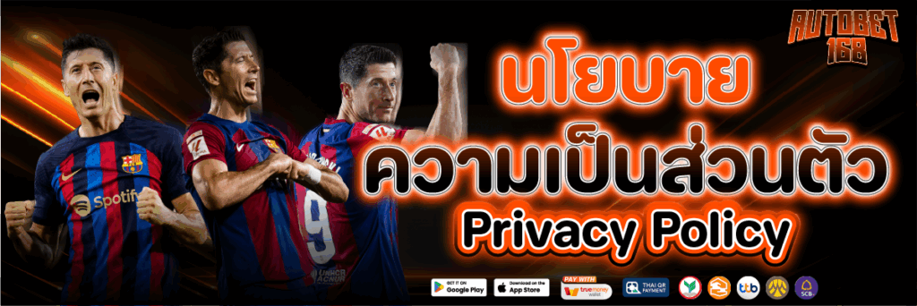 นโยบายความเป็นส่วนตัว